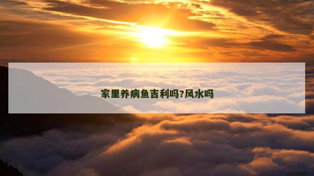 家里养病鱼吉利吗?风水吗