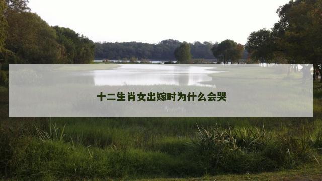 十二生肖女出嫁时为什么会哭