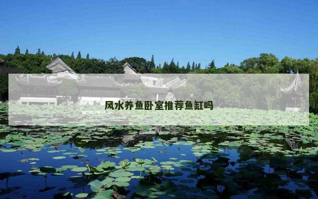 风水养鱼卧室推荐鱼缸吗