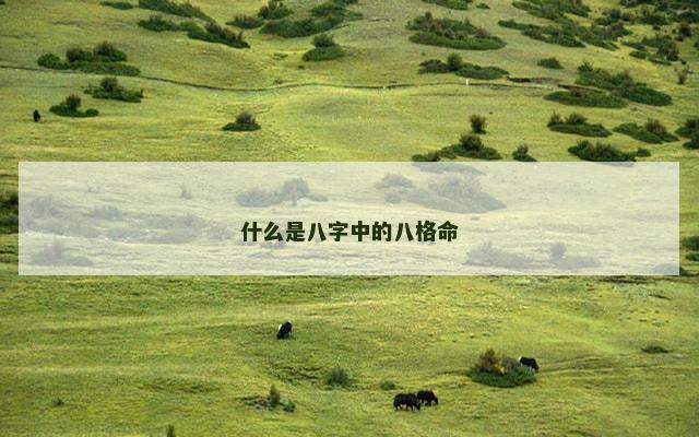 什么是八字中的八格命