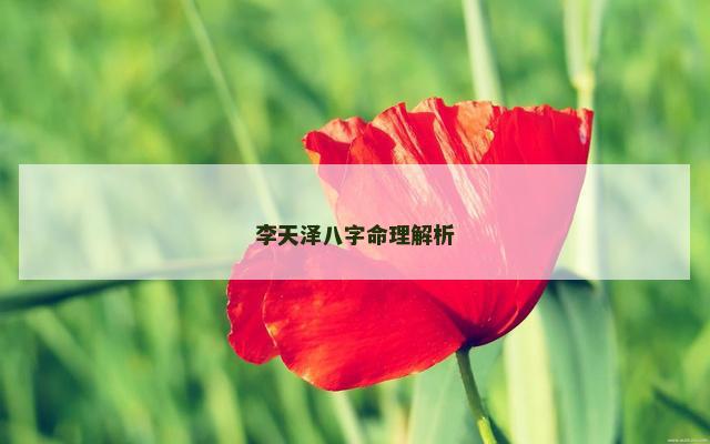 李天泽八字命理解析
