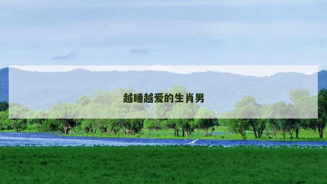 越睡越爱的生肖男