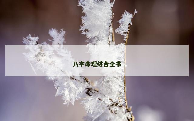 八字命理综合全书