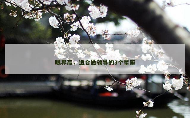 眼界高，适合做领导的3个星座