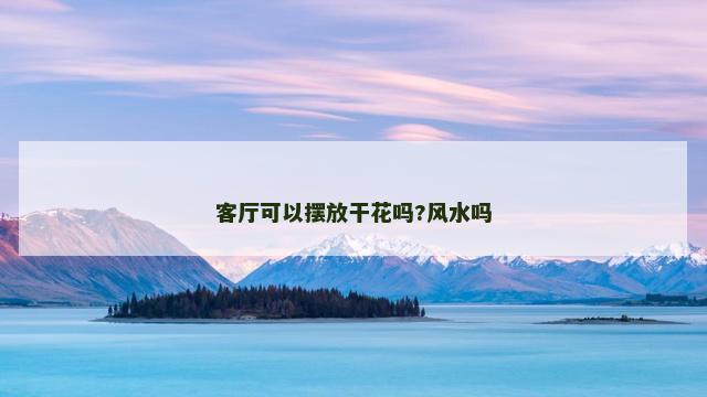 客厅可以摆放干花吗?风水吗