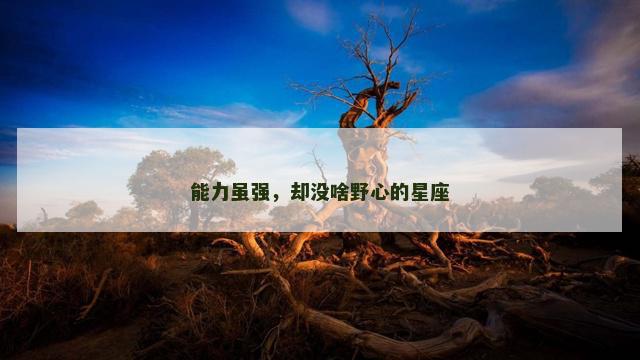 能力虽强，却没啥野心的星座