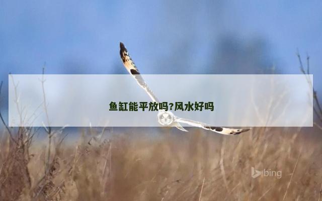 鱼缸能平放吗?风水好吗