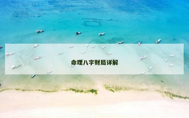 命理八字财局详解
