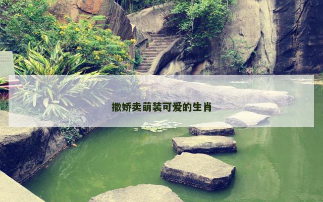 撒娇卖萌装可爱的生肖
