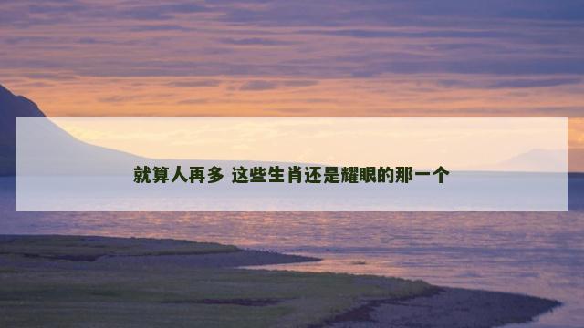 就算人再多 这些生肖还是耀眼的那一个