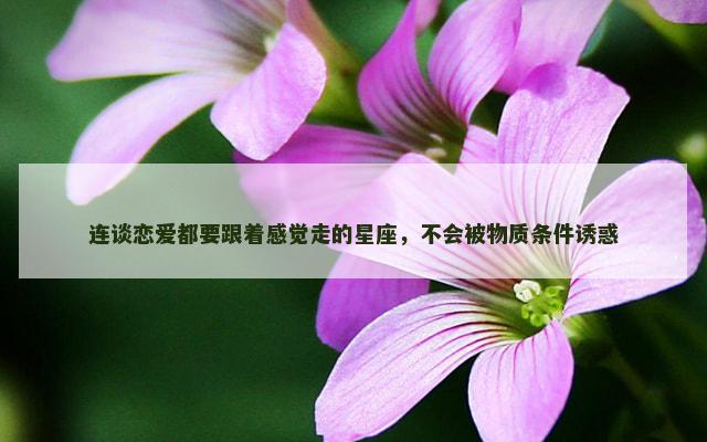 连谈恋爱都要跟着感觉走的星座，不会被物质条件诱惑
