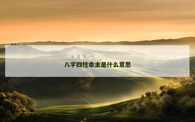 八字四柱命主是什么意思