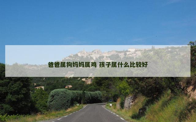 爸爸属狗妈妈属鸡 孩子属什么比较好