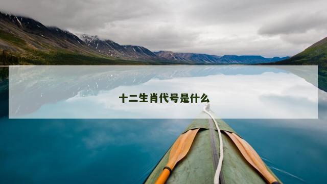 十二生肖代号是什么