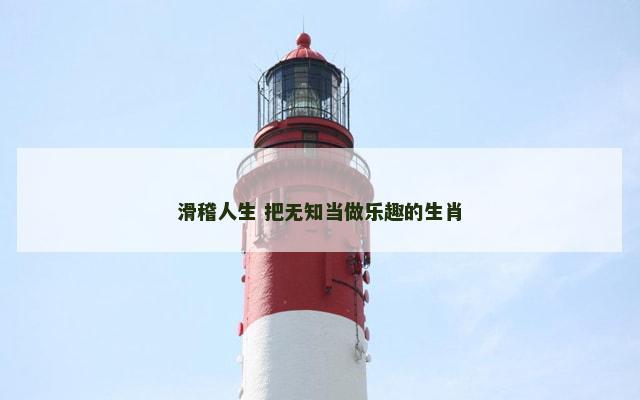 滑稽人生 把无知当做乐趣的生肖