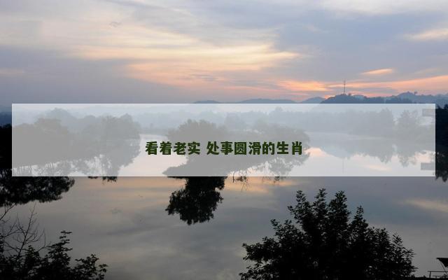 看着老实 处事圆滑的生肖