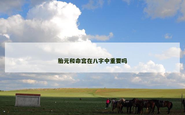 胎元和命宫在八字中重要吗