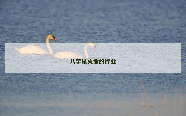 八字属火命的行业