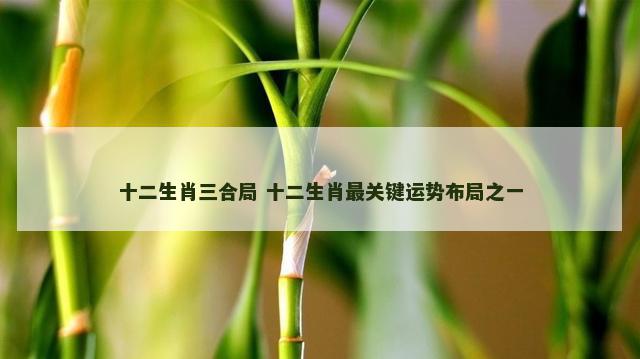 十二生肖三合局 十二生肖最关键运势布局之一