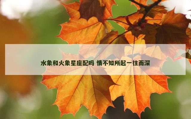 水象和火象星座配吗 情不知所起一往而深