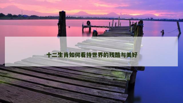十二生肖如何看待世界的残酷与美好