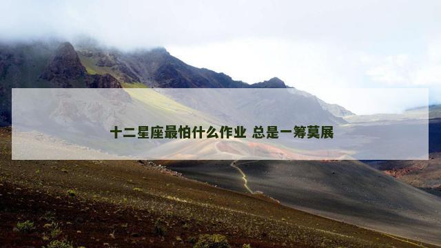 十二星座最怕什么作业 总是一筹莫展