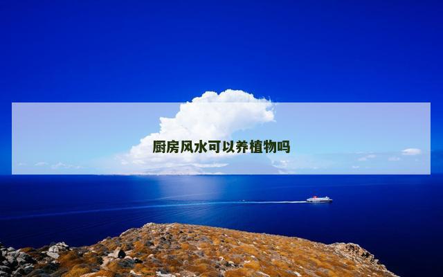 厨房风水可以养植物吗