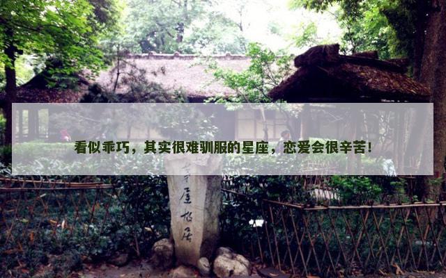 看似乖巧，其实很难驯服的星座，恋爱会很辛苦！