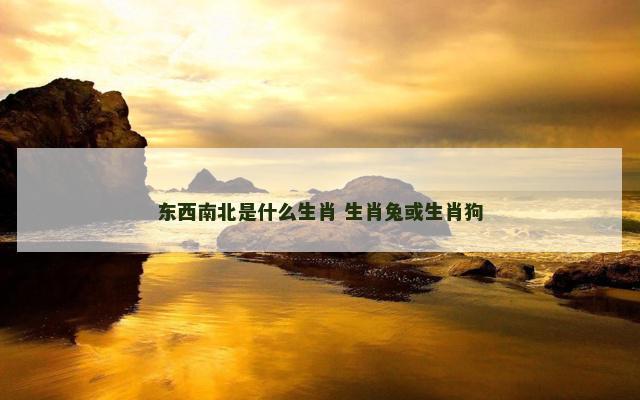 东西南北是什么生肖 生肖兔或生肖狗
