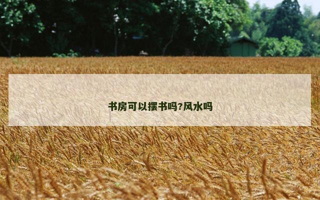 书房可以摆书吗?风水吗