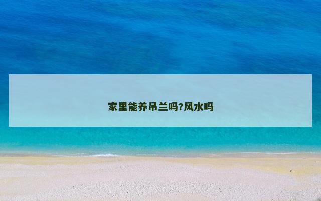 家里能养吊兰吗?风水吗