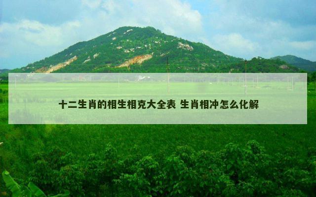 十二生肖的相生相克大全表 生肖相冲怎么化解