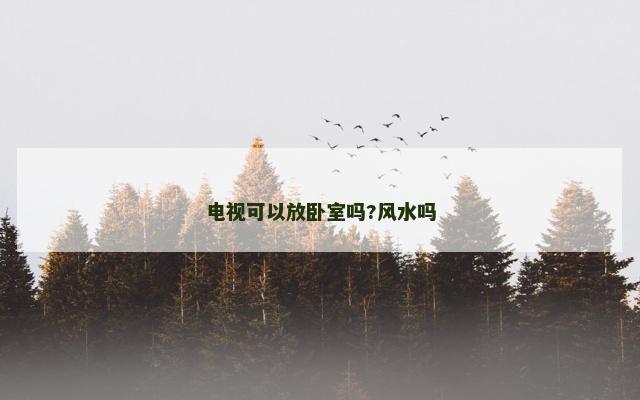 电视可以放卧室吗?风水吗