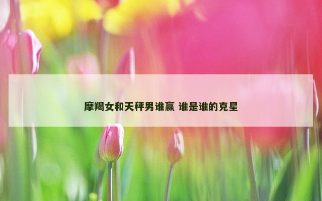 摩羯女和天秤男谁赢 谁是谁的克星