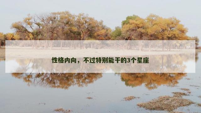 性格内向，不过特别能干的3个星座