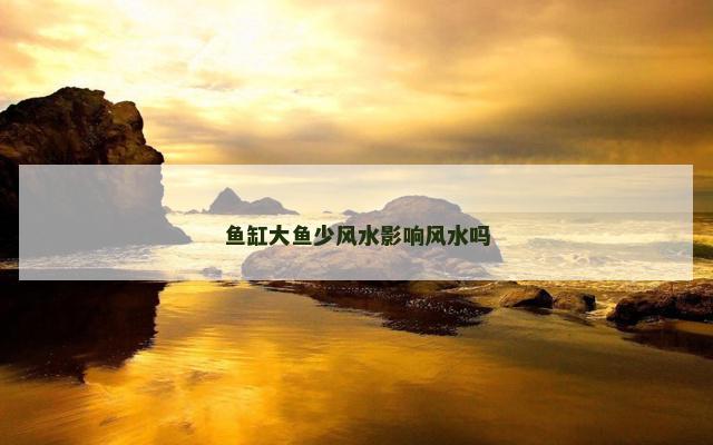 鱼缸大鱼少风水影响风水吗
