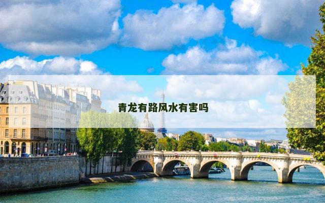青龙有路风水有害吗