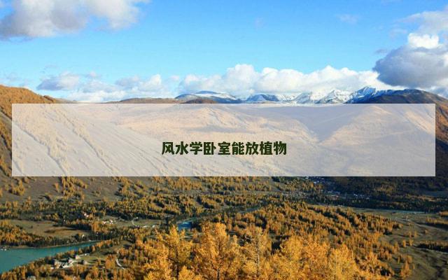 风水学卧室能放植物