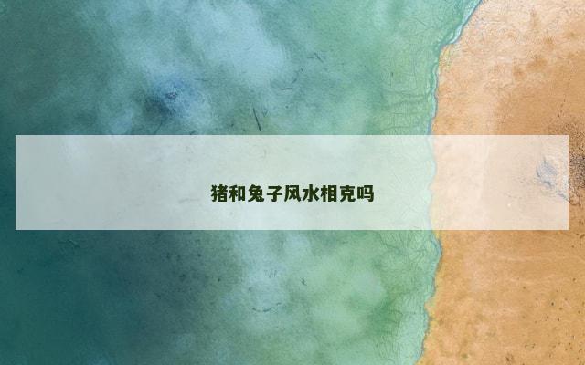 猪和兔子风水相克吗
