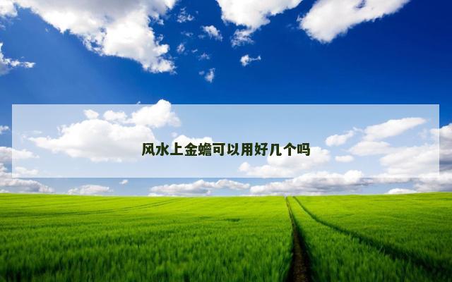 风水上金蟾可以用好几个吗