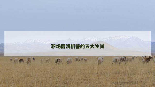 职场圆滑机警的五大生肖