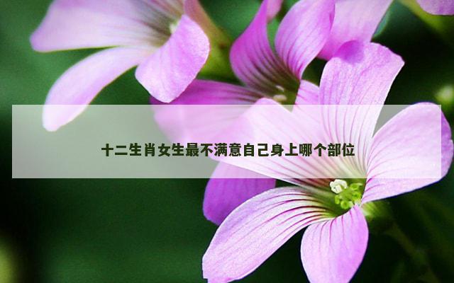 十二生肖女生最不满意自己身上哪个部位