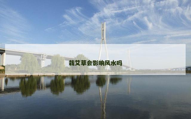 栽艾草会影响风水吗