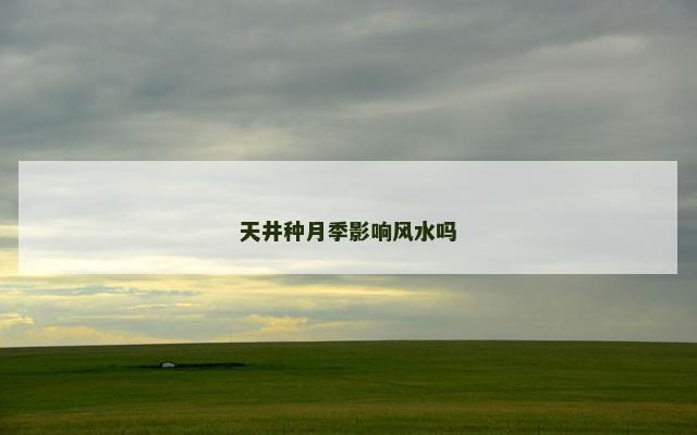 天井种月季影响风水吗