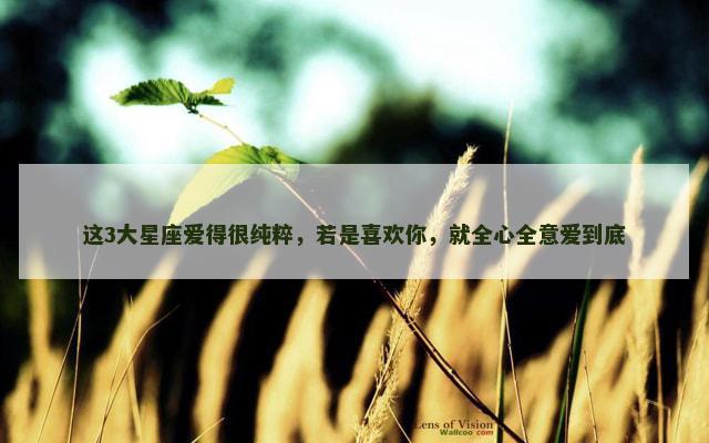 这3大星座爱得很纯粹，若是喜欢你，就全心全意爱到底