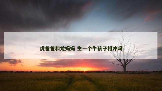 虎爸爸和龙妈妈 生一个牛孩子相冲吗