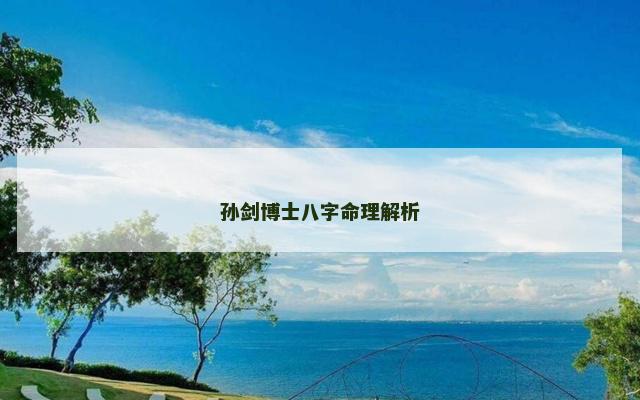 孙剑博士八字命理解析