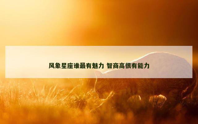 风象星座谁最有魅力 智商高很有能力