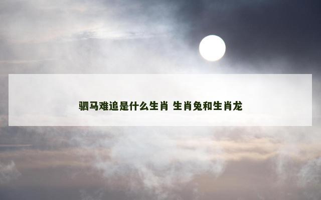 驷马难追是什么生肖 生肖兔和生肖龙