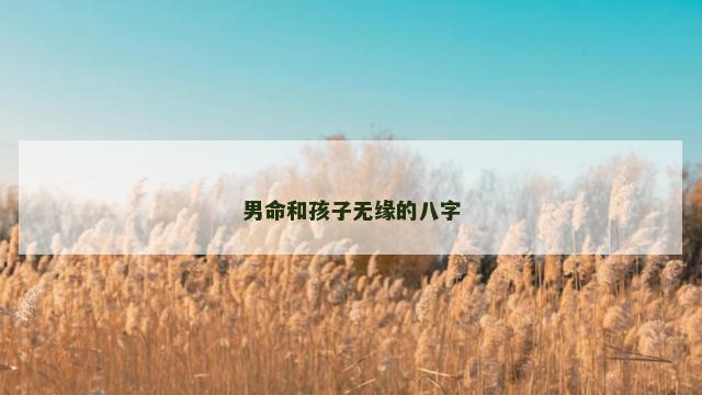 男命和孩子无缘的八字